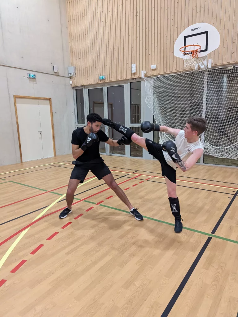 eurogames lyon boxe whatsapp image at